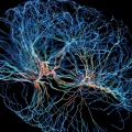 Les Secrets de la Manipulation Mentale : Entre Illusion et Réalité