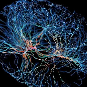Les Secrets de la Manipulation Mentale : Entre Illusion et Réalité