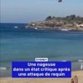 Sydney : une nageuse attaquée par un requin