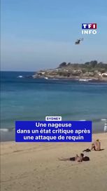 48b5dde1-19e0-470a-813d-e38fa6e3e07b Sydney : une nageuse attaquée par un requin