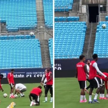 La qualité des pelouses pour le Mondial : un enjeu crucial
