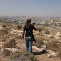Violences des colons en Cisjordanie : Un bilan préoccupant