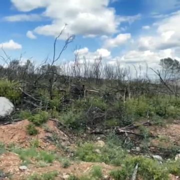 Neuf mois après l’incendie des Corbières dans l’Aude