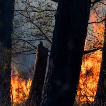 Incendies dans la Loire : Arrestations et interventions des pompiers