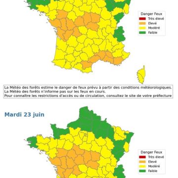 Canicule en Europe : des records de chaleur et des mesures d&rsquo;urgence