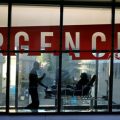 Impact de la Canicule: Un Bilan Alarmant