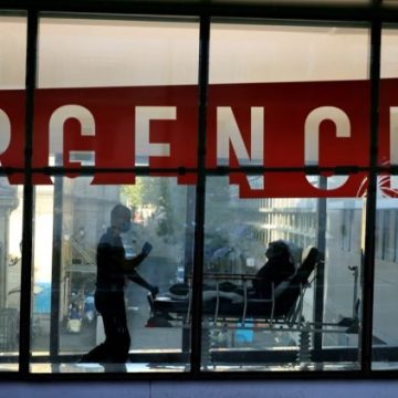 Impact de la Canicule: Un Bilan Alarmant