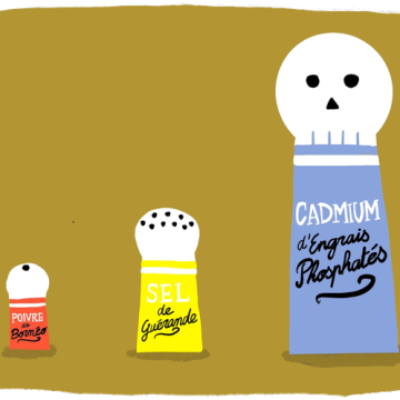 La menace du cadmium dans notre alimentation quotidienne