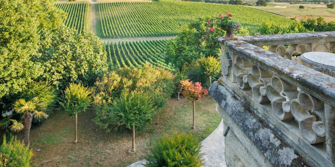 Les Écrins de Verdure des Vignobles Bordelais