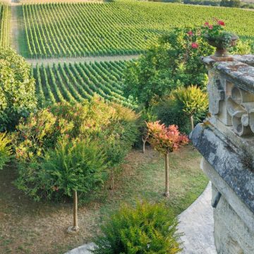 Les Écrins de Verdure des Vignobles Bordelais