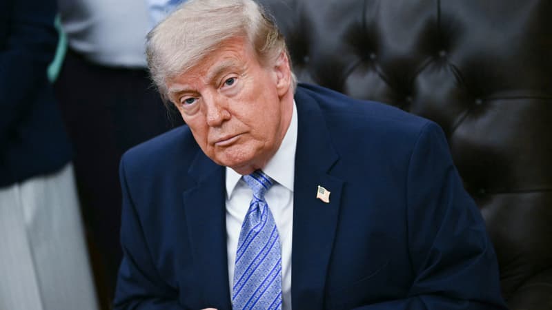 75ebd220-2c46-417a-bac6-e555c063019c Un revers judiciaire pour Donald Trump concernant les frais des visas H-1B
