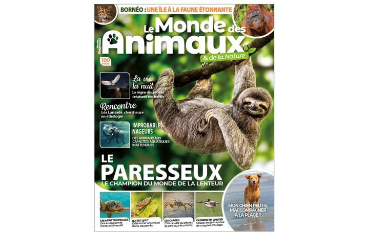 841ca241-c3f7-48f8-9fc7-b9fd38d1080f Les oiseaux et les dangers de la chaleur excessive