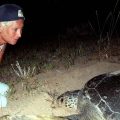 Une écologiste pionnière tuée lors d’une frappe israélienne au Liban