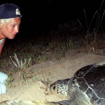 Une écologiste pionnière tuée lors d’une frappe israélienne au Liban