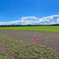 L’adaptation de l’agriculture face au changement climatique