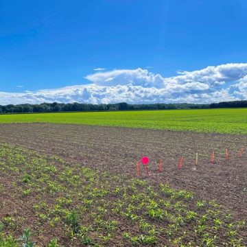 8c4c195f-ad24-4a93-ae67-cc01b971a730 L’adaptation de l’agriculture face au changement climatique