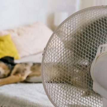 Guide complet pour choisir un ventilateur selon vos besoins