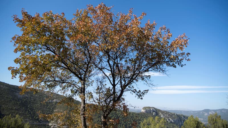 94cf31b4-21e6-4b6b-831c-02160e6183ea Accès Restreint aux Massifs Forestiers du Var
