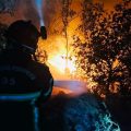 Incendie à l’Ile aux Pies en Bretagne