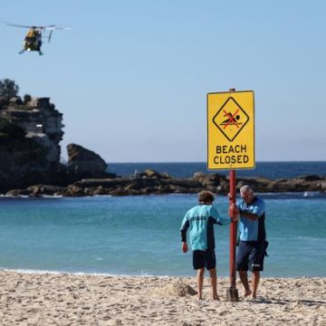 La Nouvelle-Galles du Sud considère des mesures de protection suite aux attaques de requins