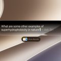 Apple Siri AI : Pourquoi l’Europe attendra