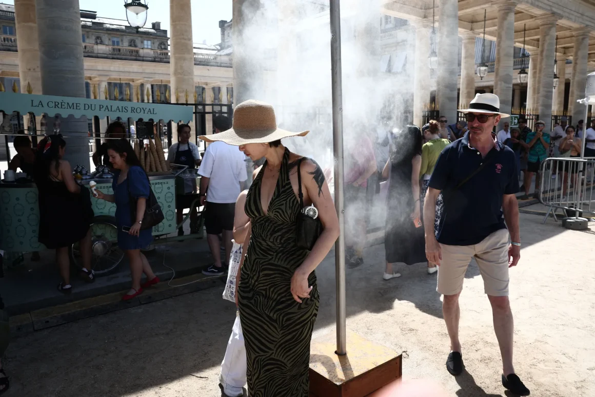 Canicule en France: Impact et Mesures Prises