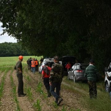 Mobilisation pour retrouver Lyhanna, 11 ans, dans le Gers