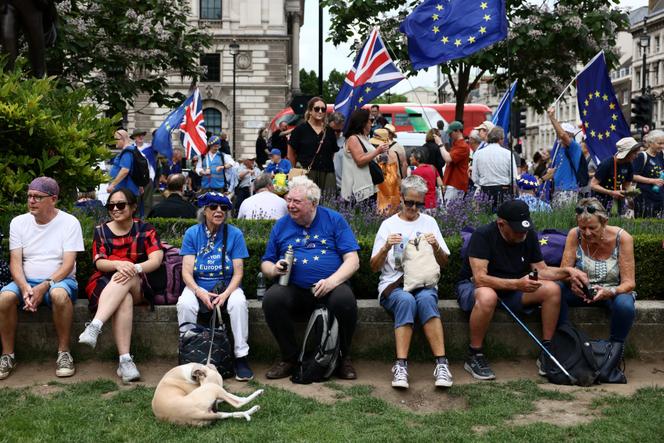 aa7f2059-e0dd-4cfd-8f91-fe436face983 Le Royaume-Uni et ses liens avec l’Union européenne après le Brexit