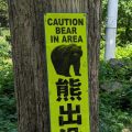 Signalement des attaques d’ours au Japon