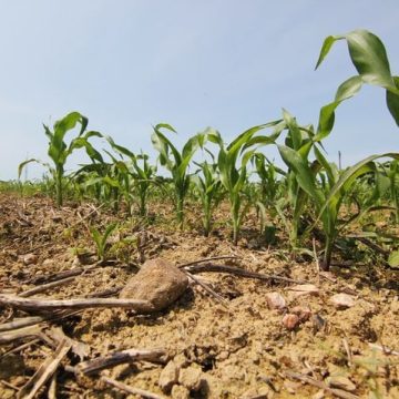 Conflit autour du nouveau schéma d’aménagement de l’eau dans le bassin de la Vilaine