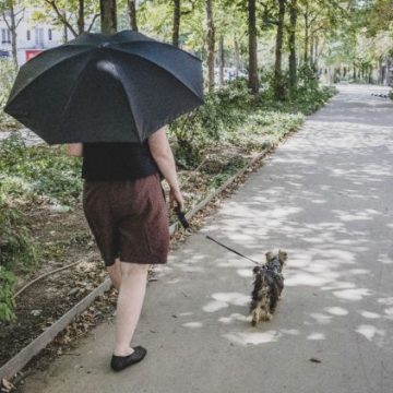 Prévisions météorologiques : Risque de nouvelle canicule en France