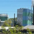 Fibre Excellence : Liquidation Menace et Appel à l’Aide