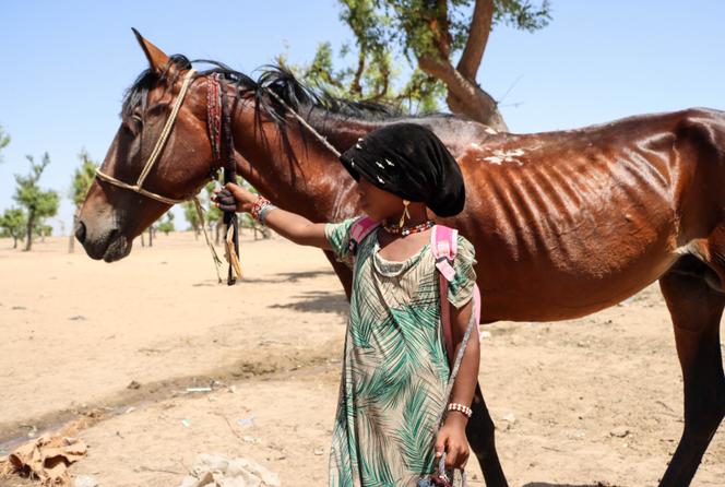 c67443d6-4393-4213-b3e6-c7ebb2cff92b L’impact des aléas climatiques sur les enfants au Tchad