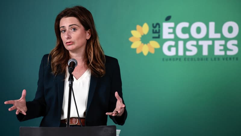 c710043d-dd1d-4a5d-a296-78850aca3c72 Les Écologistes réclament un congé climatique de 5 jours par an