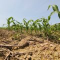 Les Défis du Schéma d’Aménagement et de Gestion de l’Eau du Bassin de la Vilaine
