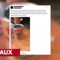 Analyse d’une fausse vidéo sur le rationnement des soldats russes