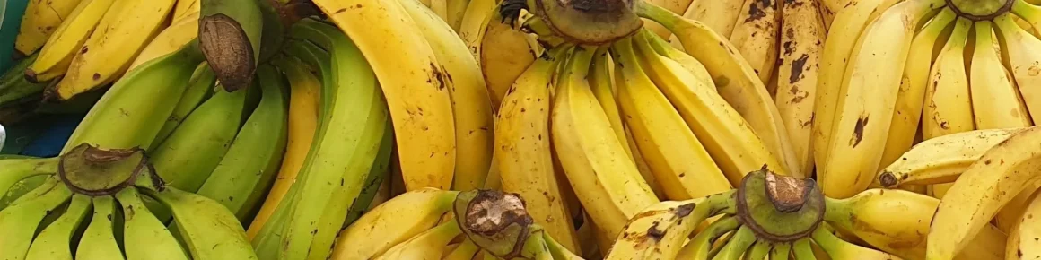 La cour d’appel confirme le non-lieu dans le scandale du chlordécone