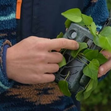 Lutte contre les décharges sauvages en Grande-Bretagne