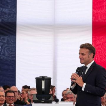 Investissements étrangers et réindustrialisation en France