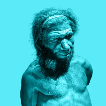 L’alimentation et les comportements de Néandertal dévoilés par l’étude des dents