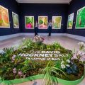 David Hockney et l’Art Numérique: Une Révolution sur iPad