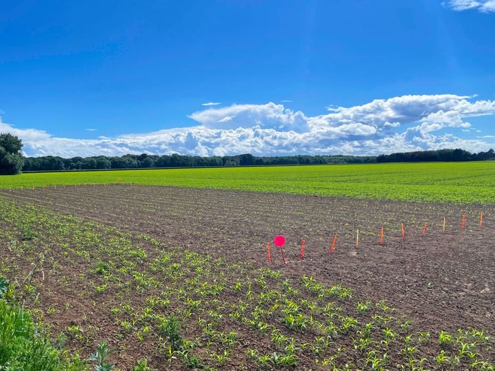 f0fb75fc-94b7-48d7-a2e3-a396f3045f3c Adaptation de l’agriculture face au changement climatique à Grignon