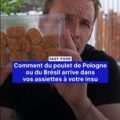 L’origine insoupçonnée du poulet dans nos assiettes