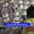 Des grimpeurs escaladent une tour de brioches à la vapeur à Hong Kong