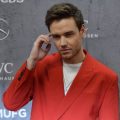 Le patrimoine de Liam Payne transmis à son fils Bear