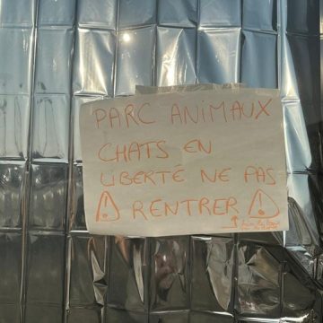 Animaux et humains ensemble au Parc des Expositions de Bordeaux