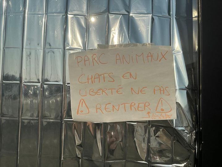 006fe225-a8e0-4307-af87-eb6cff156cb1 Animaux et humains ensemble au Parc des Expositions de Bordeaux