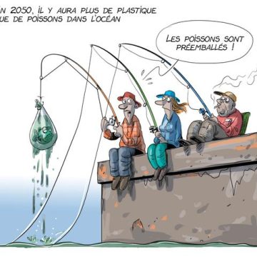 Des Pièges à Déchets pour Prévenir la Pollution dans les Plans d&rsquo;Eau