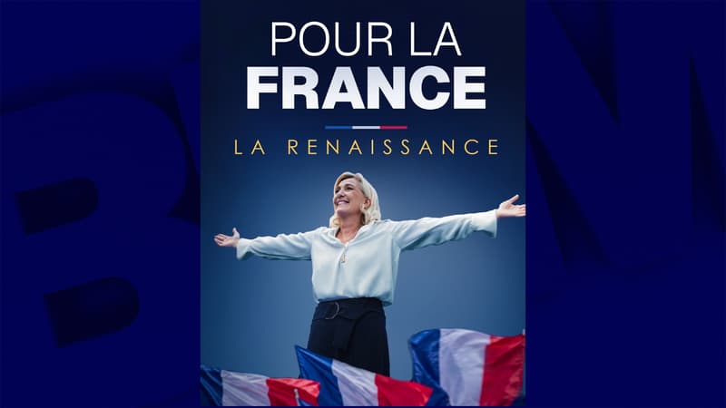0196ae78-c27c-4f6a-b80a-4c25a61206e2 Renaissance attaque le Rassemblement national en justice