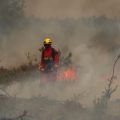 Incendies en France: Situation critique en Gironde et autres régions
